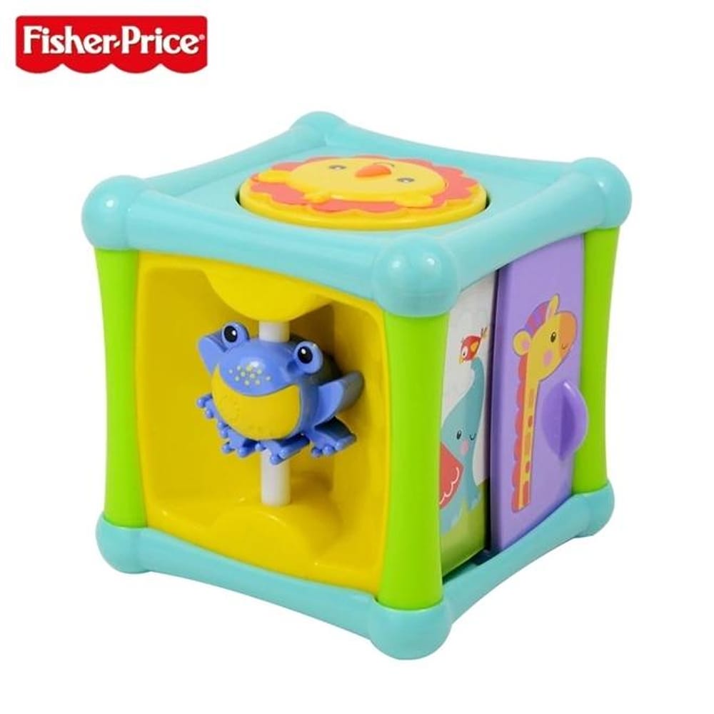 Cubo de Atividades Animais Divertidos Fisher Price - BFH80 - Mattel