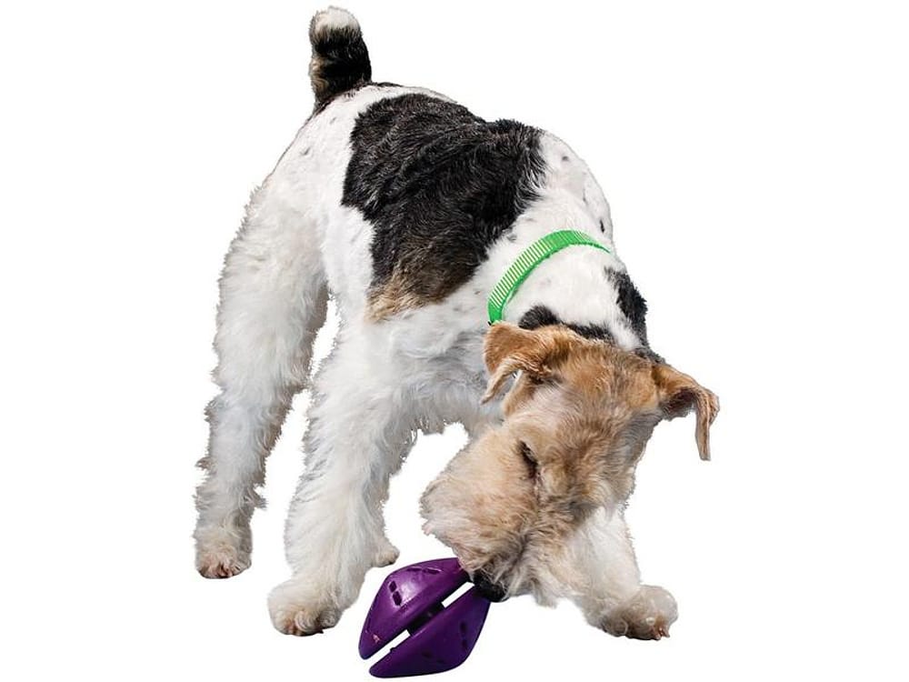 Brinquedo para Cachorro de Borracha - Busy Buddy Twist N Treat PetSafe