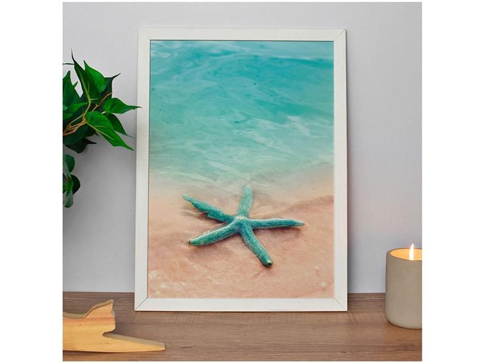 Quadro Decorativo Estrela-do-Mar 35x47cm - Design Up Living