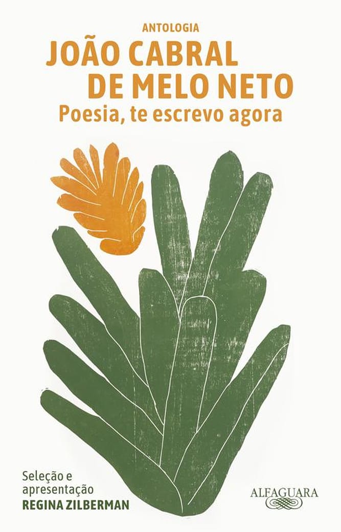 Livro - Poesia, te escrevo agora