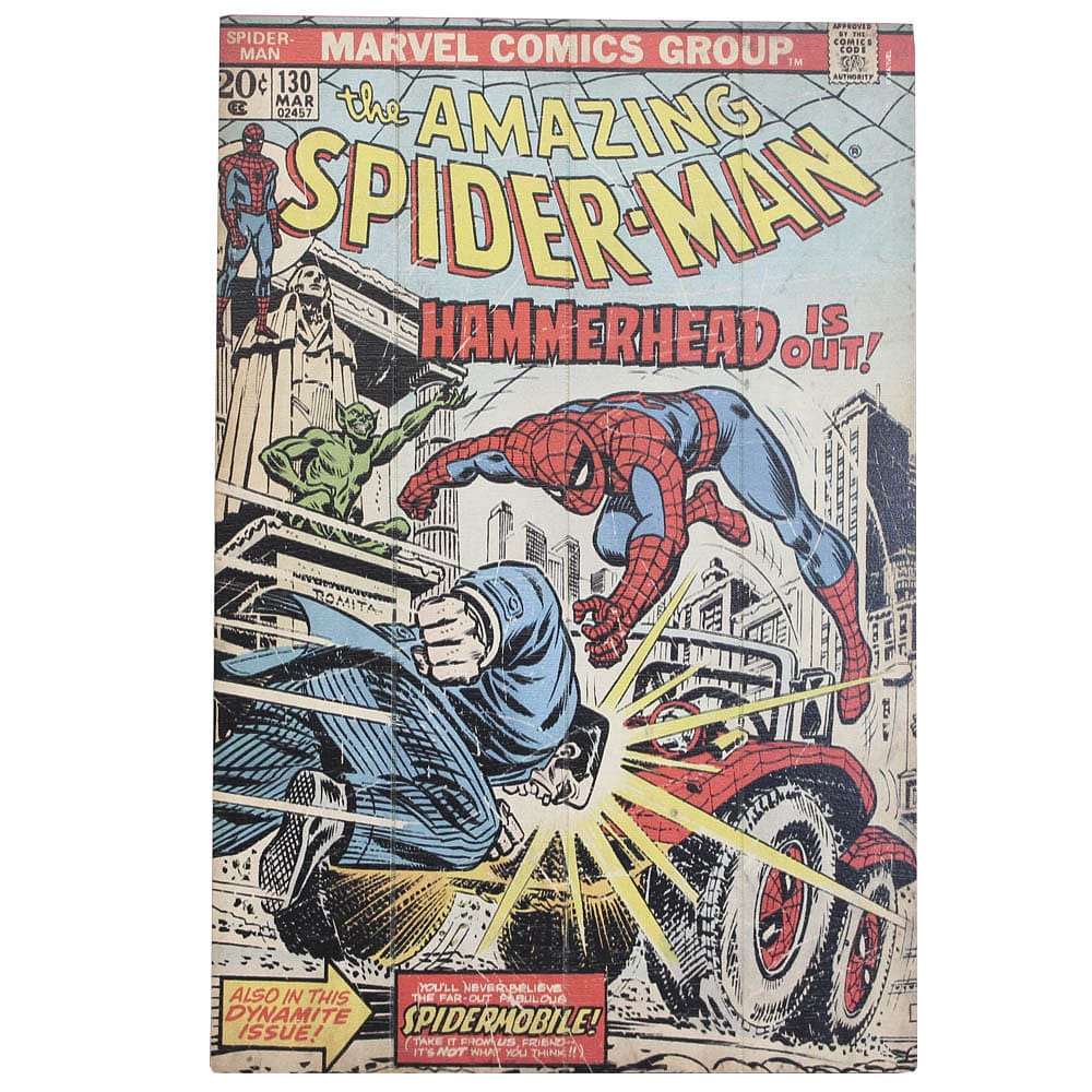 Quadro Homem-Aranha - Marvel