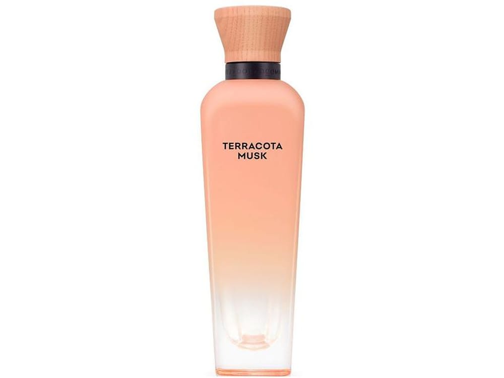 Perfume Adolfo Dominguez Terracota Musk - Feminino Eau de Parfum 120ml